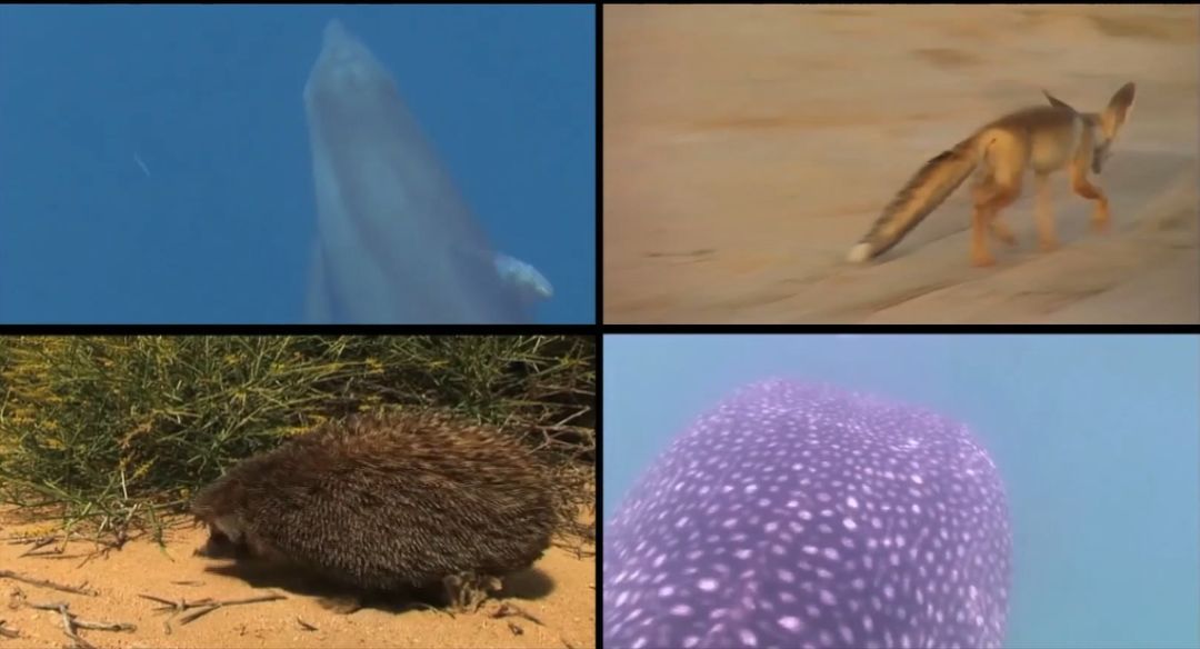 bat365(中国)在线平台官方网站-登录入口