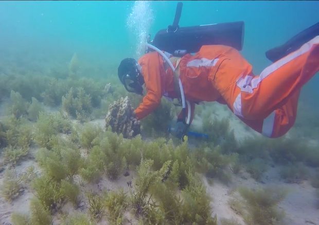 bat365(中国)在线平台官方网站-登录入口