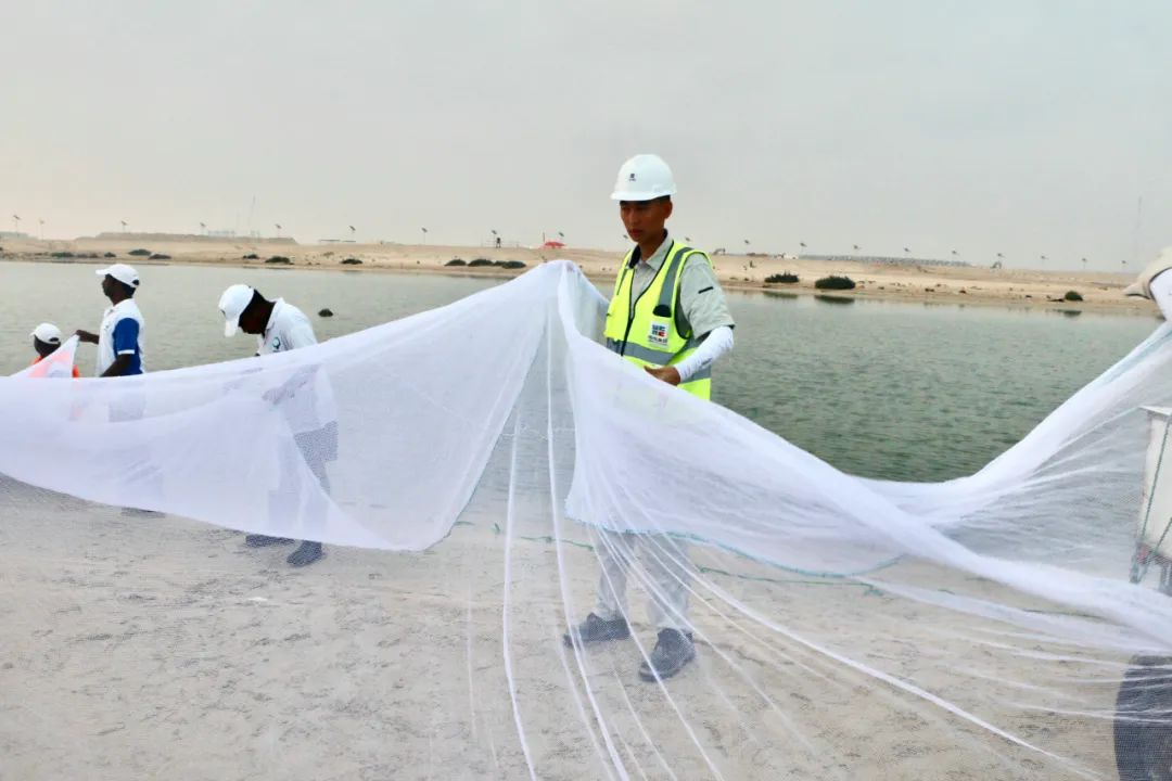 bat365(中国)在线平台官方网站-登录入口