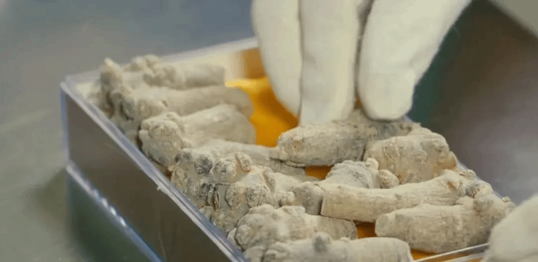 bat365(中国)在线平台官方网站-登录入口