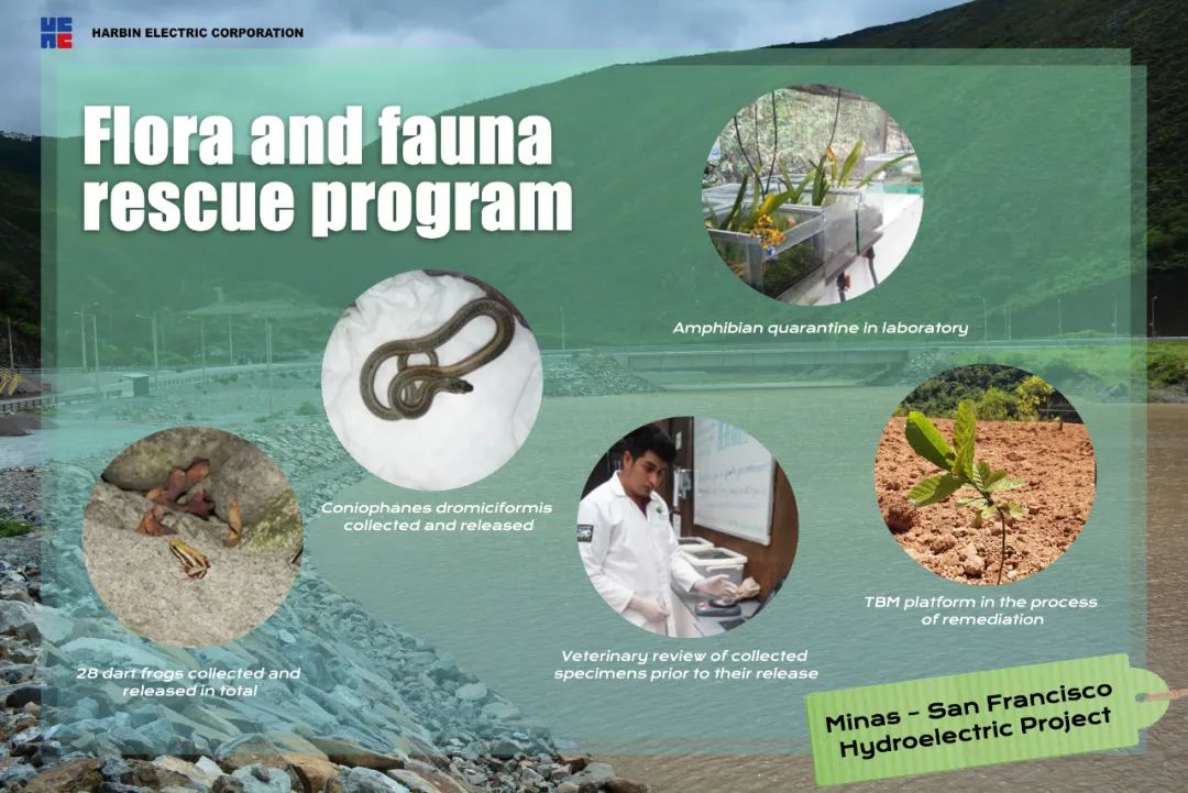 bat365(中国)在线平台官方网站-登录入口