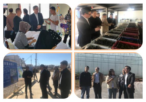 bat365(中国)在线平台官方网站-登录入口