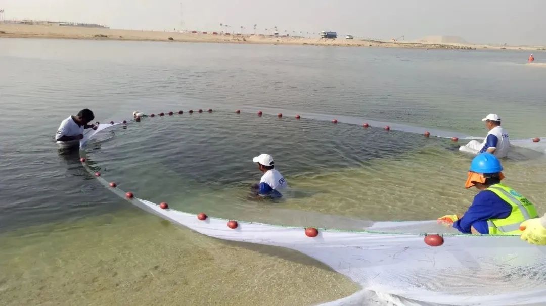 bat365(中国)在线平台官方网站-登录入口