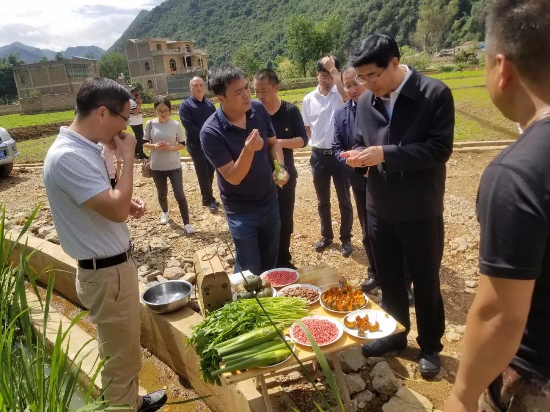 bat365(中国)在线平台官方网站-登录入口