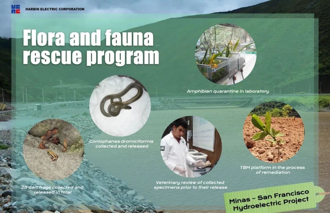 bat365(中国)在线平台官方网站-登录入口