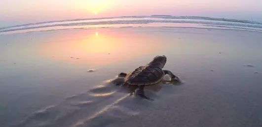 bat365(中国)在线平台官方网站-登录入口