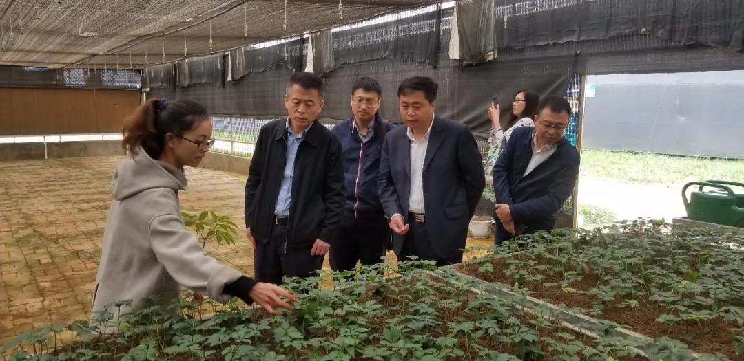 bat365(中国)在线平台官方网站-登录入口