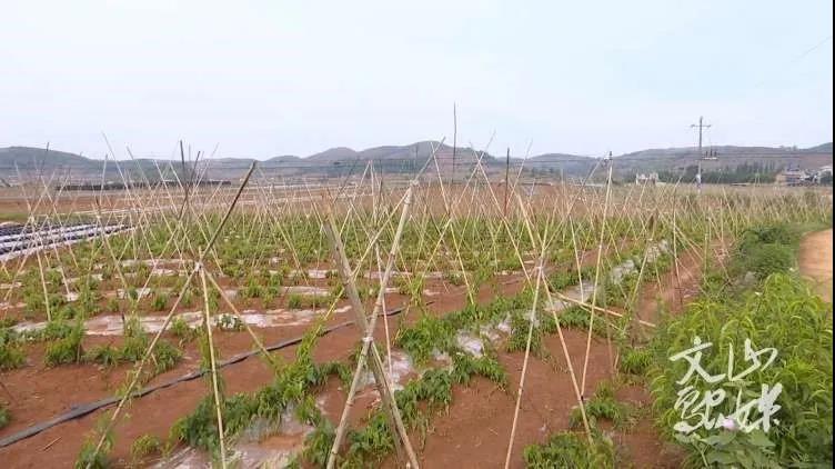 bat365(中国)在线平台官方网站-登录入口