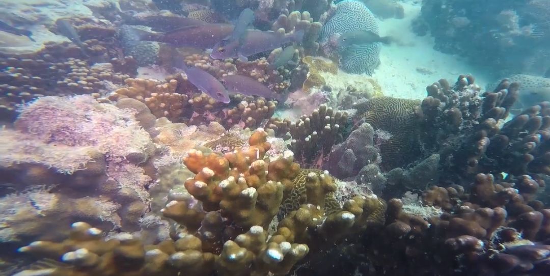 bat365(中国)在线平台官方网站-登录入口