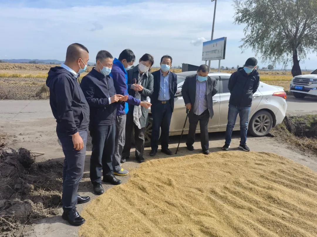 36C86D242991140E67AD1AAFCFB_CC28A2A0_25F5C.jpg?e=