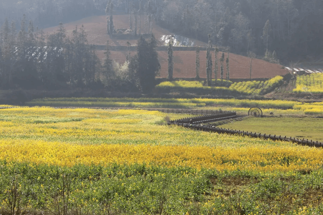 bat365(中国)在线平台官方网站-登录入口