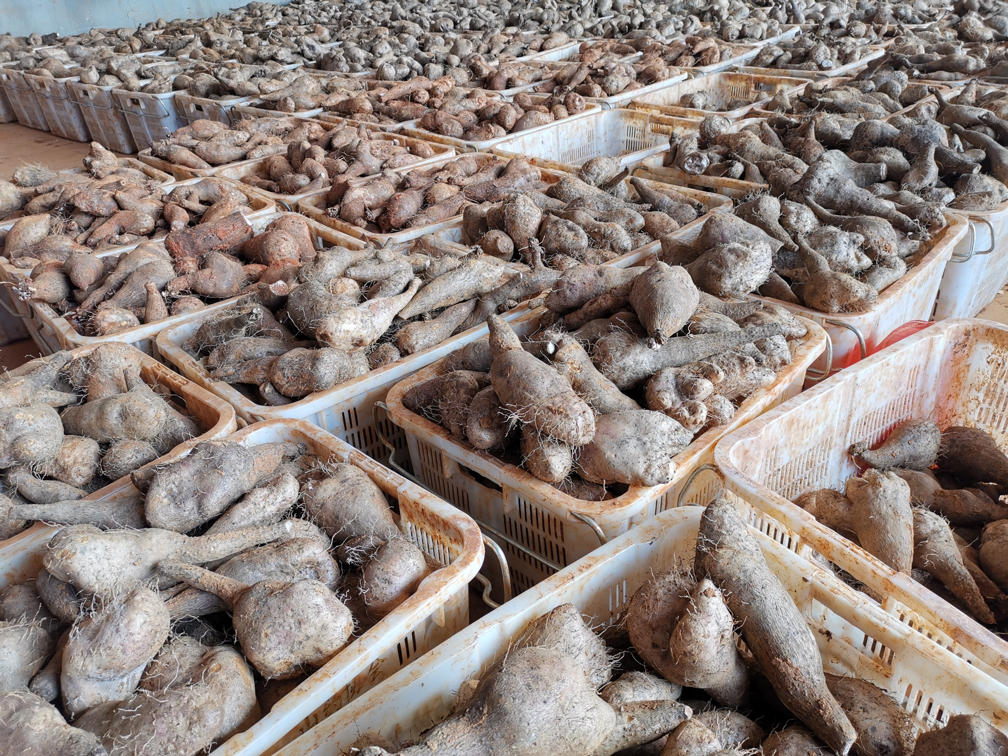 bat365(中国)在线平台官方网站-登录入口